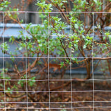 GARDEN CRAFT 50-ft x 3-ft Gray Galvanized Steel Welded Wire Rolled Fencing