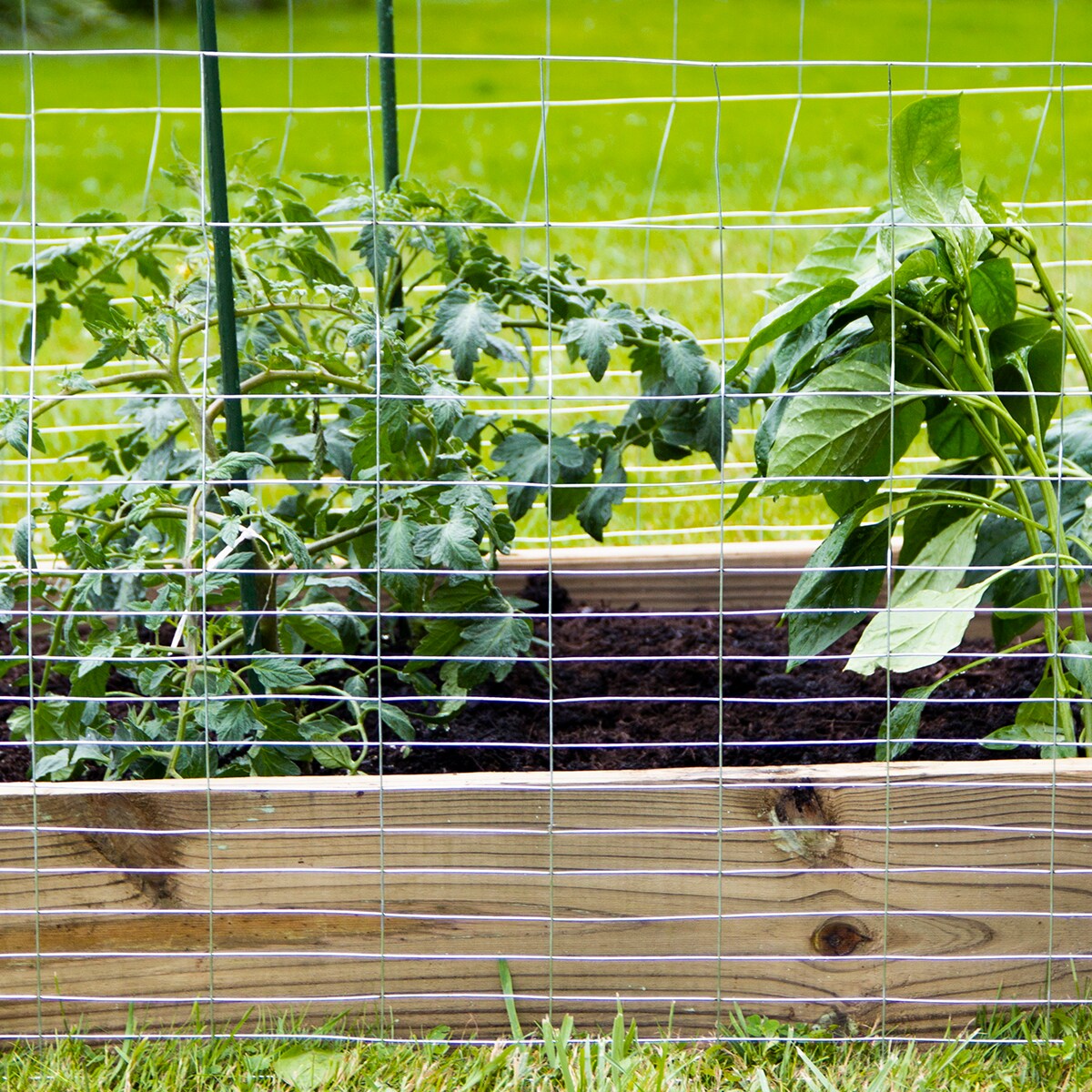 Garden Craft 50-Ft x 4-Ft Gray Steel Welded Wire Rolled Fencing