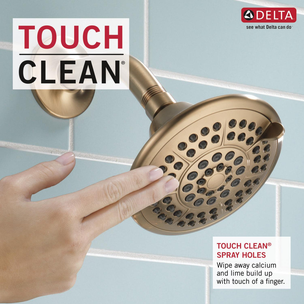 Delta Lahara Champagne Bronze 1-Handle Multi-Function Shower Faucet Trim Kit, 3.375-in Round Head