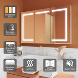 ExBrite Opale 48-in x 30-in Lighted LED Fog Free Surface/Recessed Mount Silver- 30"h Mirrored Soft Close Medicine Cabinet with Outlet