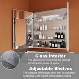 ExBrite Opale 30-in x 30-in Lighted LED Fog Free Surface/Recessed Mount Silver- 30"h Mirrored Soft Close Medicine Cabinet with Outlet