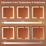 ExBrite Opale 30-in x 30-in Lighted LED Fog Free Surface/Recessed Mount Silver- 30"h Mirrored Soft Close Medicine Cabinet with Outlet