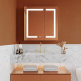 ExBrite Opale 30-in x 30-in Lighted LED Fog Free Surface/Recessed Mount Silver- 30"h Mirrored Soft Close Medicine Cabinet with Outlet