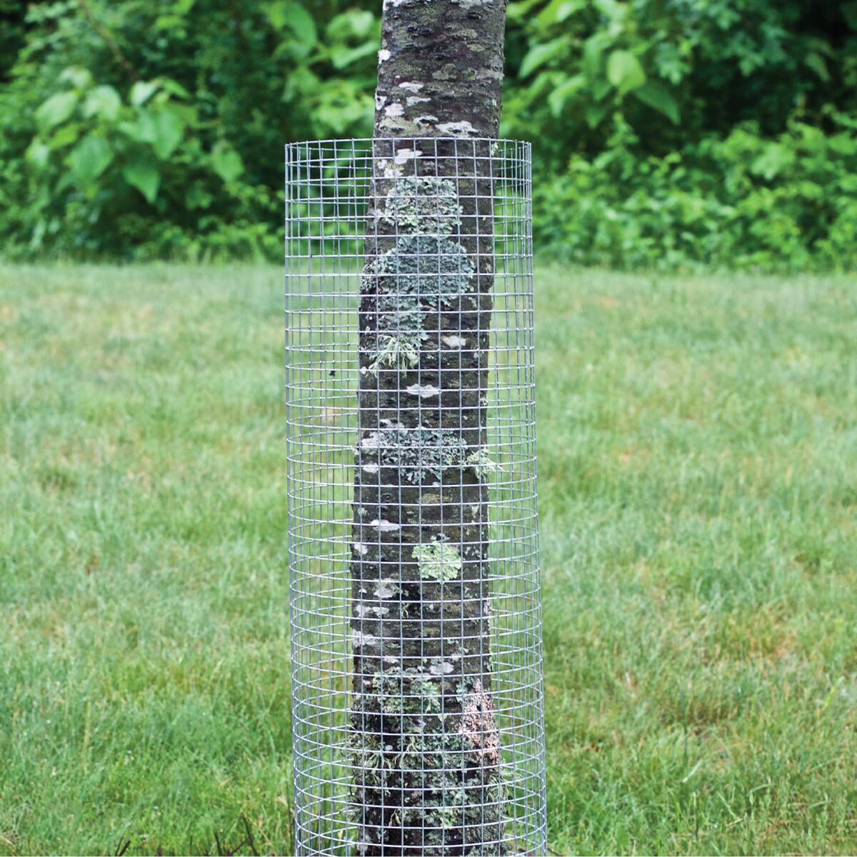 GARDEN CRAFT Gray Galvanized Steel Hardware Cloth Rolled Fencing with Mesh Size 1/2-in x 1/2-in