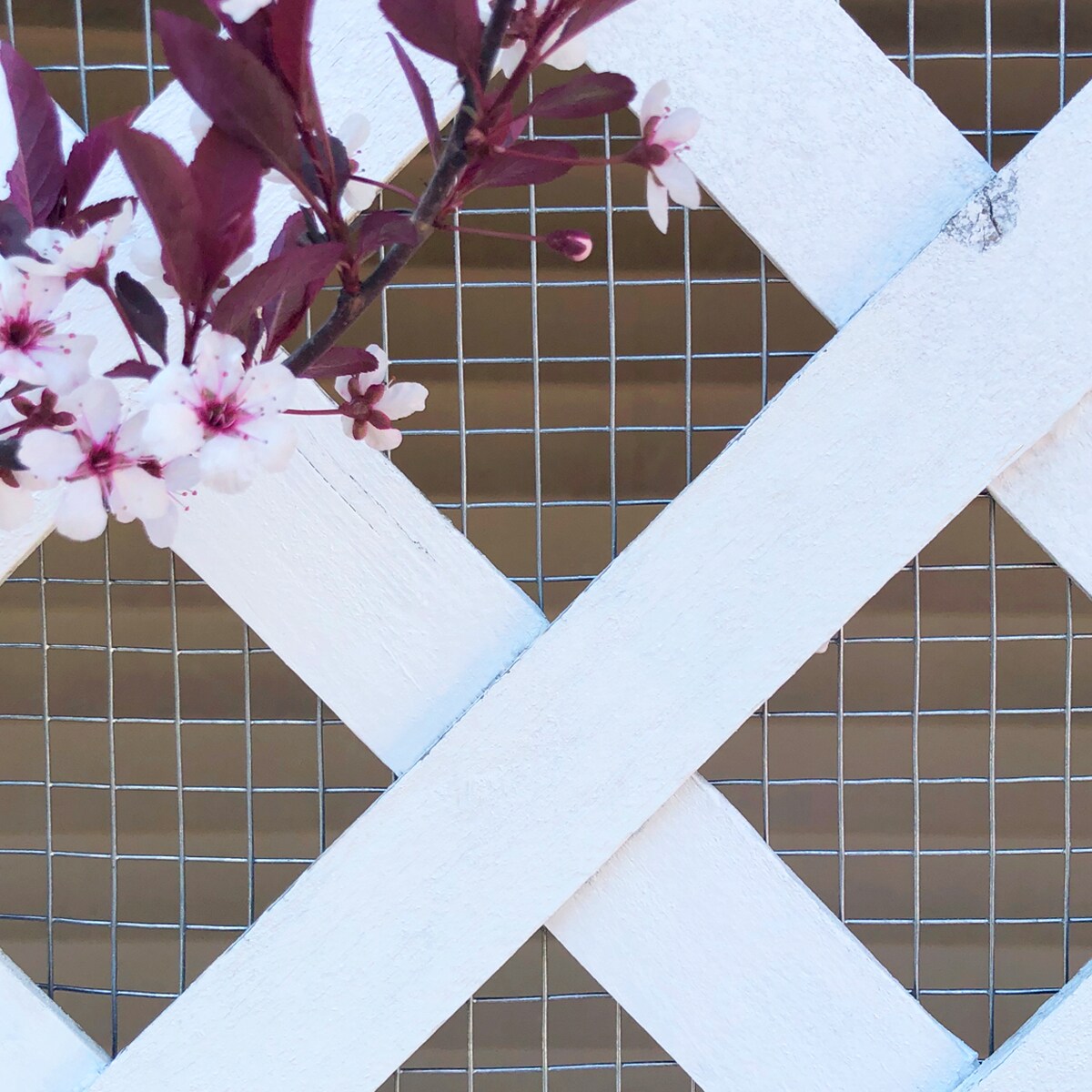 GARDEN CRAFT Gray Galvanized Steel Hardware Cloth Rolled Fencing with Mesh Size 1/2-in x 1/2-in