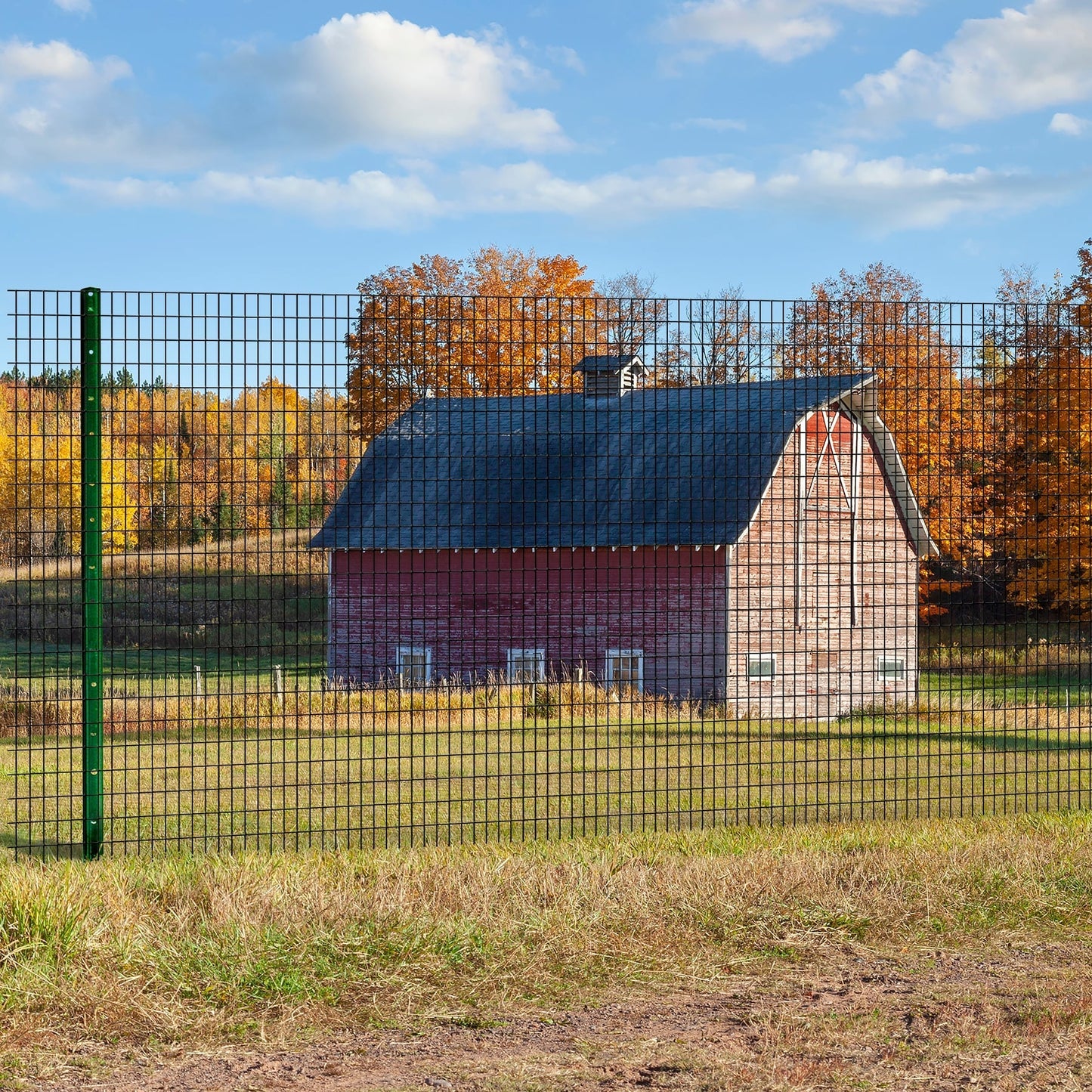 GARDEN CRAFT 100-ft x 4-ft Black PVC Coated Steel Welded Wire Rolled Fencing with Mesh Size 1-in x 2-in