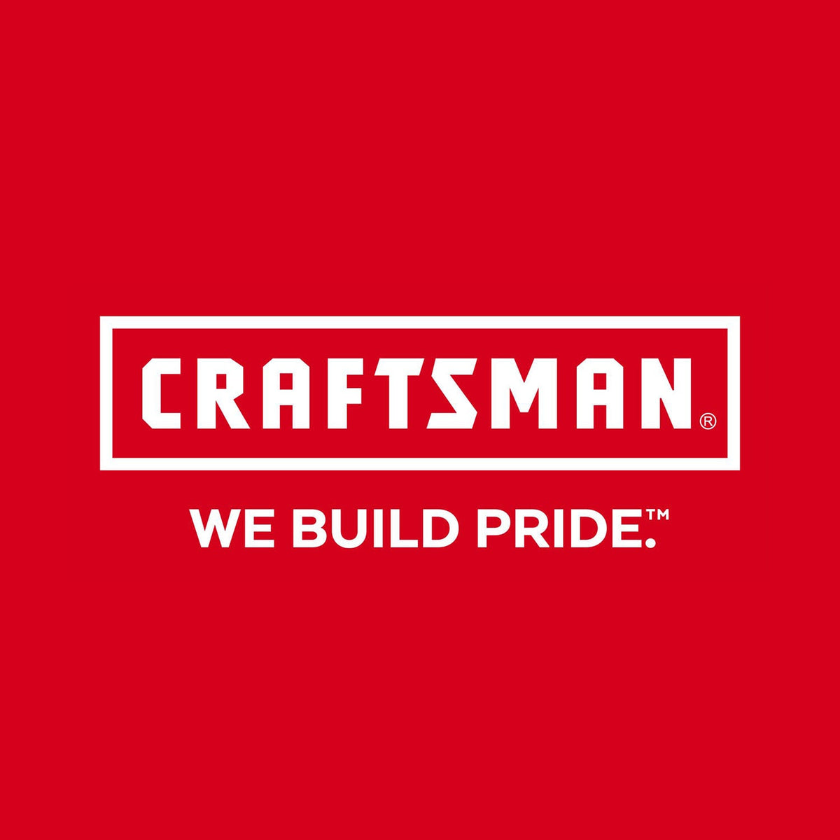CRAFTSMAN 6-in Electrical Long Nose Pliers with Wire Cutter