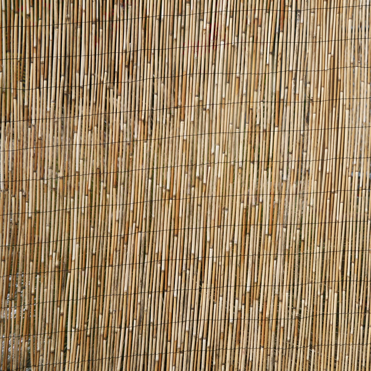Backyard X-Scapes 6-ft x 16-ft Bamboo Semi-privacy No Dig Fence Panel
