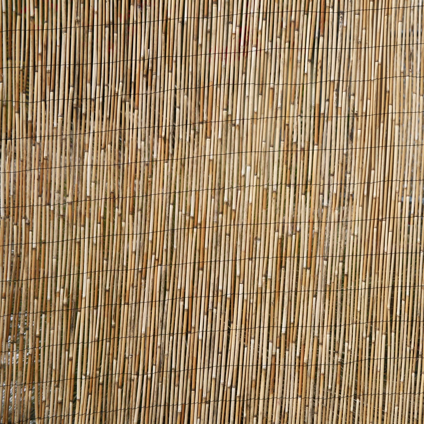 Backyard X-Scapes 6-ft x 16-ft Bamboo Semi-privacy No Dig Fence Panel