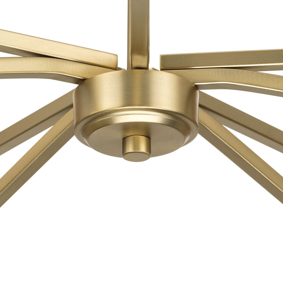 Progress Lighting Roxobel 5-Light Brushed Gold Modern/Contemporary Chandelier