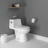Colony 1-Piece 1.28 GPF Single Flush Elongated Toilet in White, Seat Included