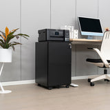 GZMR 2 Drawer File Cabinet with Lock Black 2-Drawer 15.35-in File Cabinet