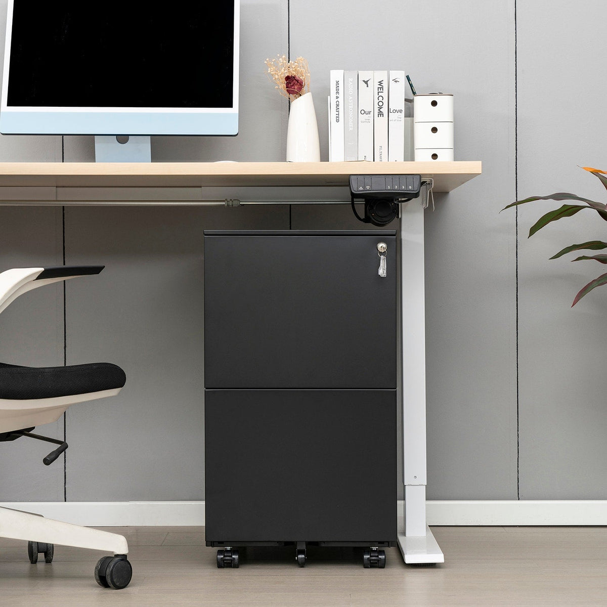GZMR 2 Drawer File Cabinet with Lock Black 2-Drawer 15.35-in File Cabinet
