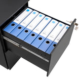 GZMR 2 Drawer File Cabinet with Lock Black 2-Drawer 15.35-in File Cabinet