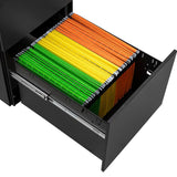 GZMR 2 Drawer File Cabinet with Lock Black 2-Drawer 15.35-in File Cabinet