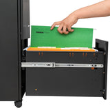 GZMR 2 Drawer File Cabinet with Lock Black 2-Drawer 15.35-in File Cabinet
