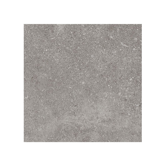 Giorbello (Sample) Ambience Natural Gray 24-in x 24-in Matte Porcelain Stone Look Floor and Wall Tile