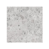 Giorbello (Sample) Ambience Terrazzo Silver 24-in x 24-in Matte Porcelain Stone Look Floor and Wall Tile