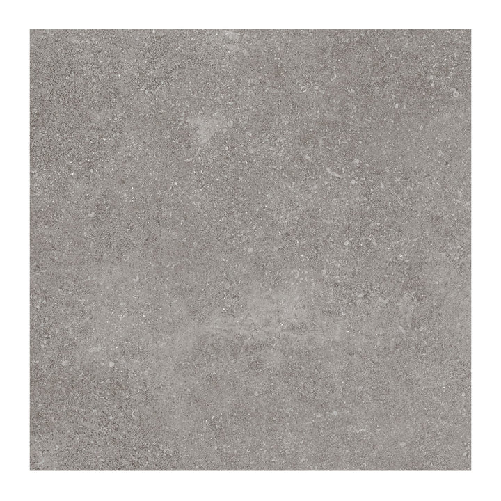 Giorbello Ambience Natural Gray 24-in x 24-in Matte Porcelain Stone Look Floor Tile (12-sq. ft/ Carton)