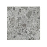 Giorbello (Sample) Ambience Terrazzo Gray 24-in x 24-in Matte Porcelain Stone Look Floor and Wall Tile