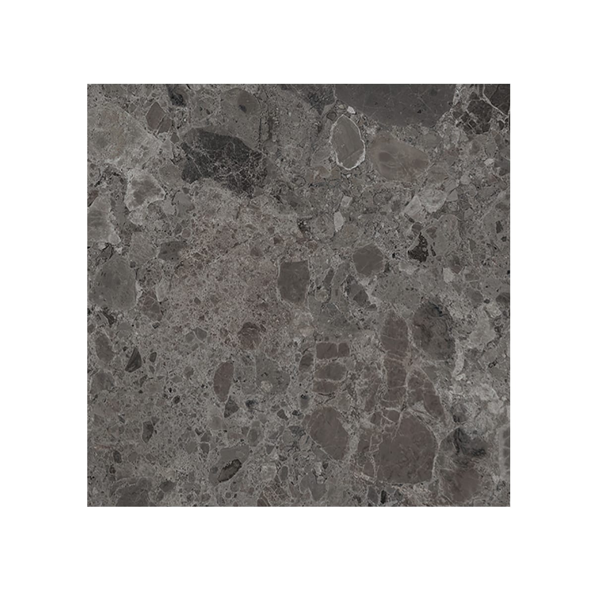 Giorbello (Sample) Ambience Terrazzo Deep Gray 24-in x 24-in Matte Porcelain Stone Look Floor and Wall Tile