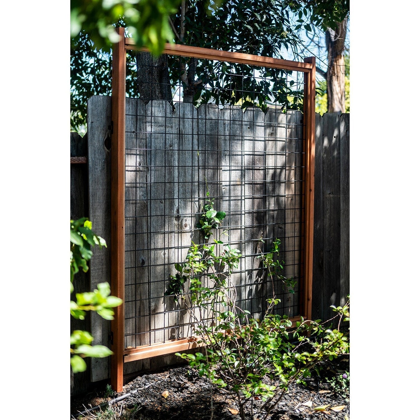 Simpson Strong-Tie 2.875-in x 3-in Rigid Tie Zmax Galvanized with Black Powder Coat Steel Rail Bracket