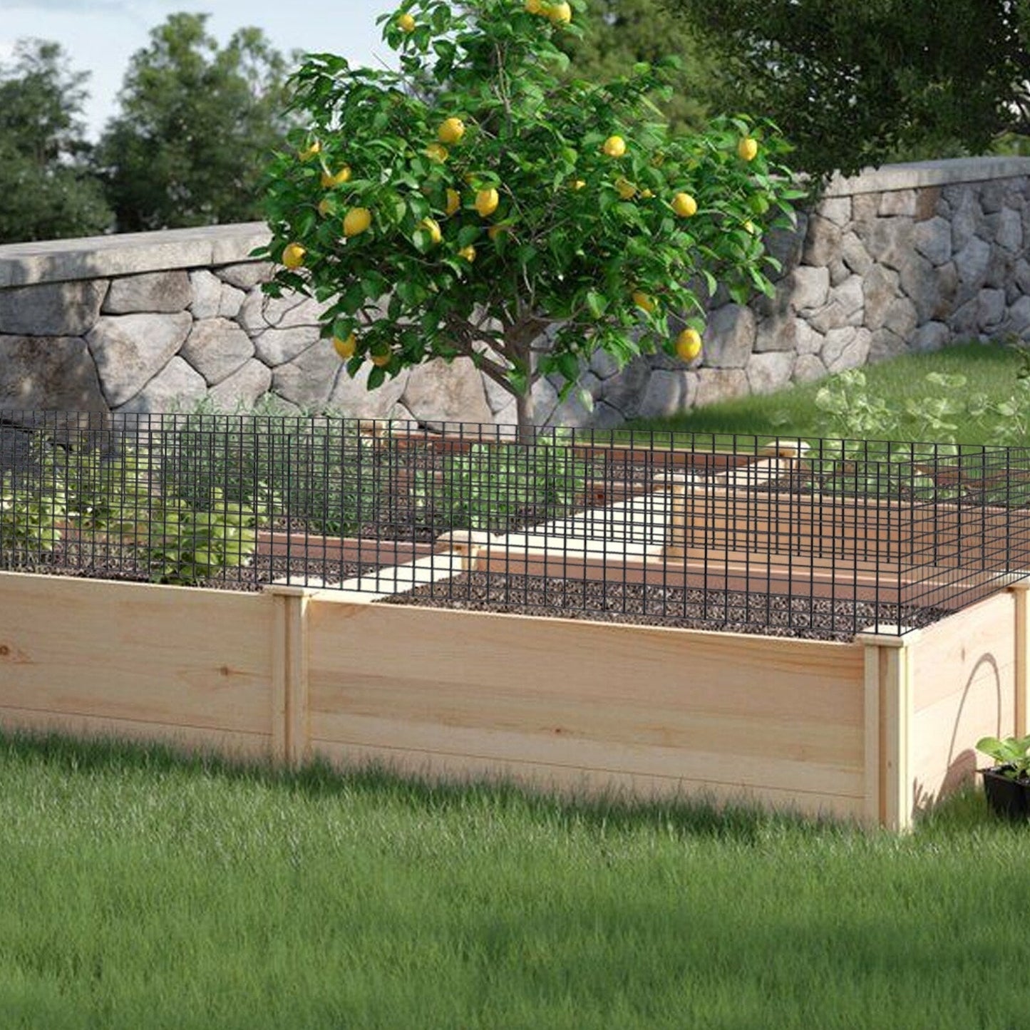 Maocao Hoom 50-ft x 19-Gauge Black Metal Welded Wire Rolled Fencing with Mesh Size 1/2-in x 1/2-in