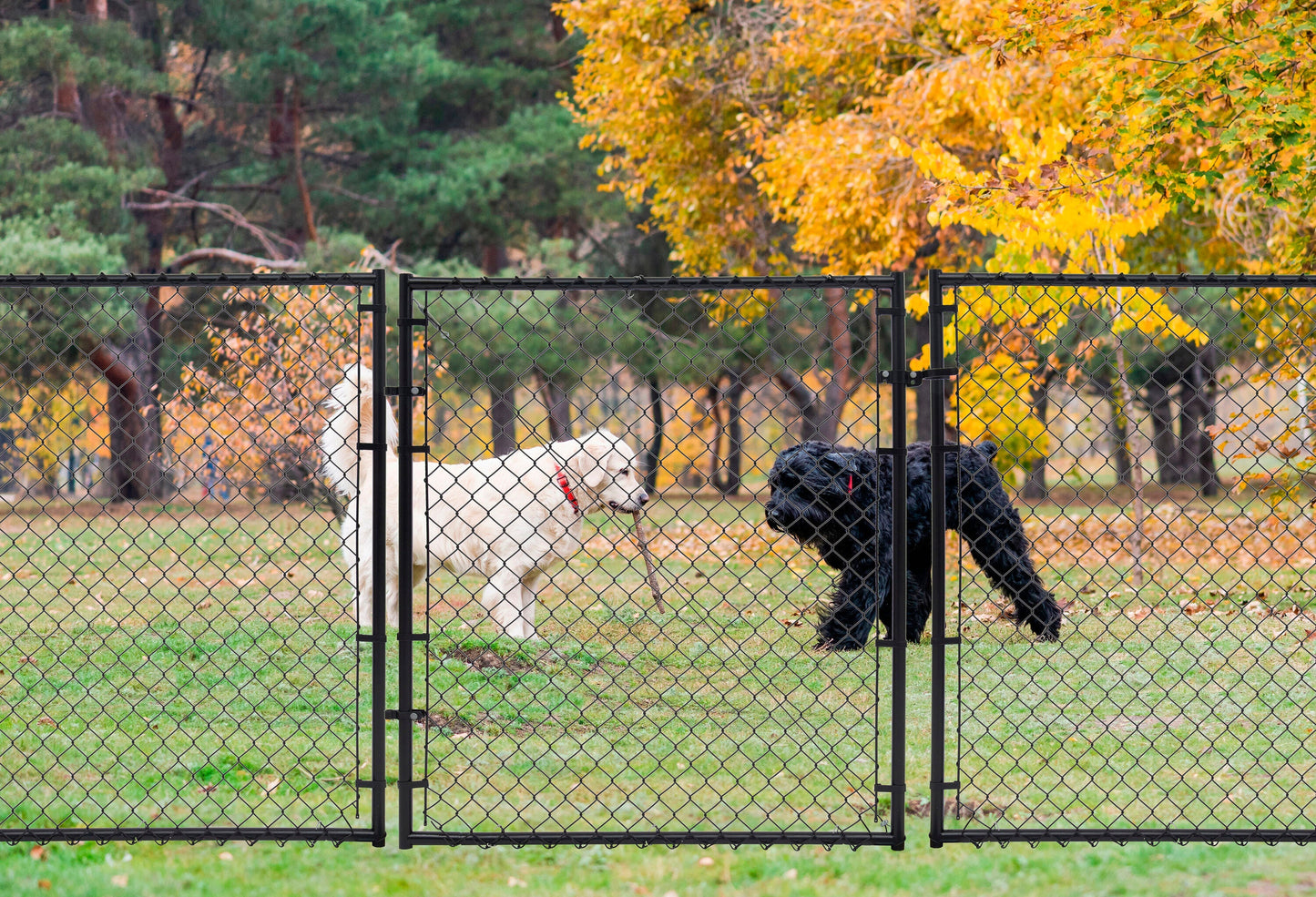 Fit-Right 6-ft H x 6-ft W Black Adjustable Metal Walk-thru Chain Link Fence Gate Kit with Mesh Size 2-in