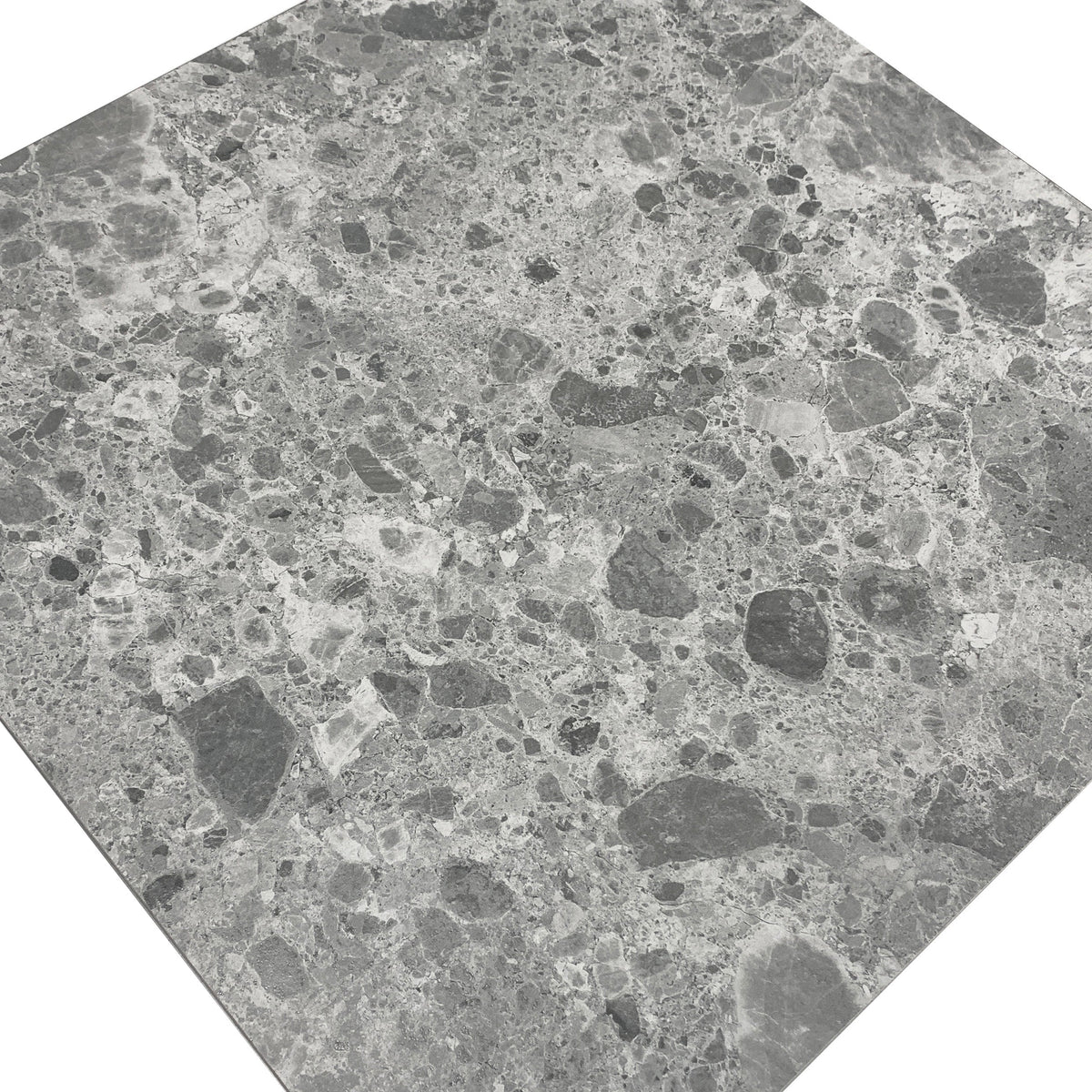 Giorbello (Sample) Ambience Terrazzo Gray 24-in x 24-in Matte Porcelain Stone Look Floor and Wall Tile