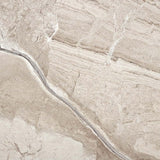 Apollo Tile Splendor Beige 24-in x 24-in Matte Porcelain Marble Look Floor and Wall Tile (11.62-sq. ft/ Carton)