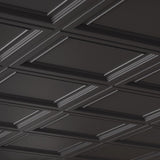 Armstrong Ceilings 2-ft x 2-ft Easy Elegance Black PVC Drop Ceiling Tile (1-Pack, 4-sq ft / Case)