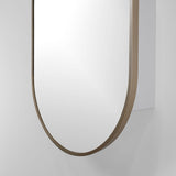 20-in x 30-in Surface Mount Gold Mirrored Oval Medicine Cabinet