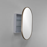 20-in x 30-in Surface Mount Gold Mirrored Oval Medicine Cabinet