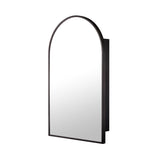 18-in x 30-in Surface Mount Black Mirrored Arched Medicine Cabinet