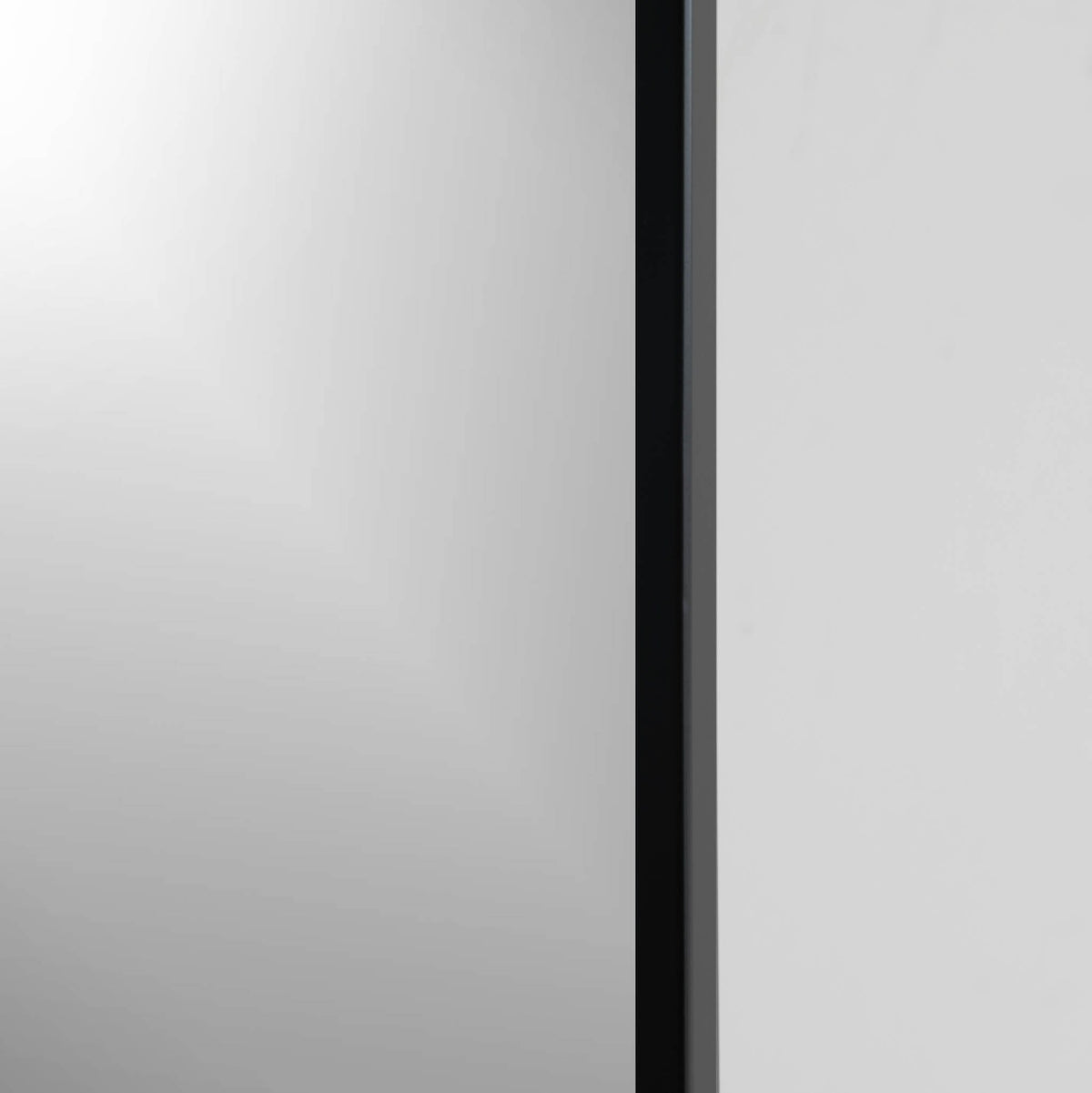 22-in x 28-in Surface Mount Black Mirrored Medicine Cabinet