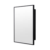 22-in x 28-in Surface Mount Black Mirrored Medicine Cabinet