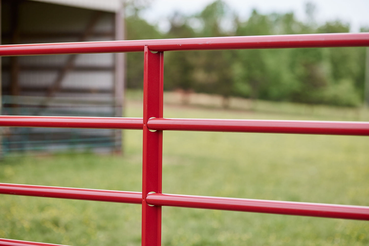 Tarter 4-ft H x 20-ft W Red E-coat Steel Corral Flat-top Farm Fence Gate