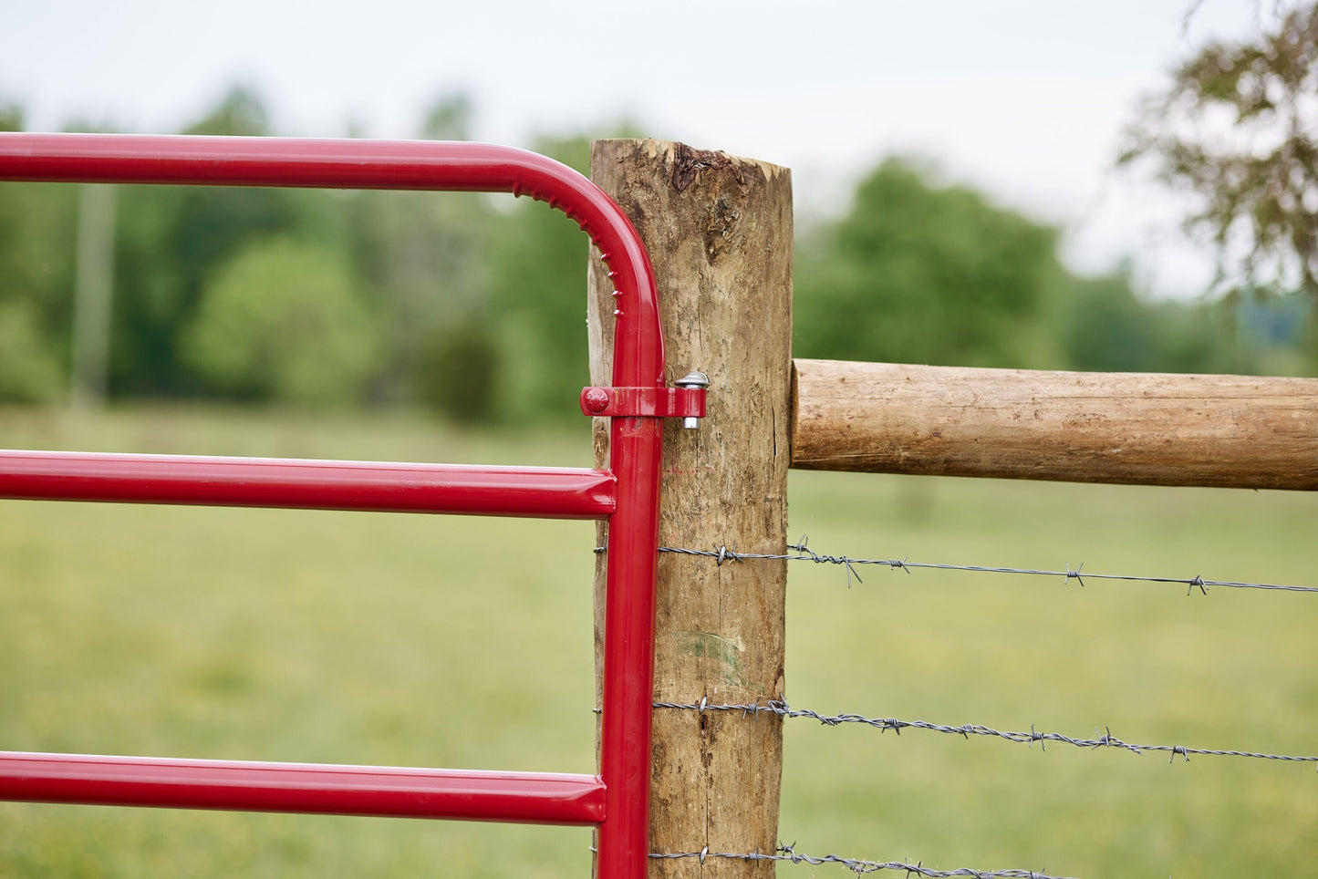 Tarter 4-ft H x 20-ft W Red E-coat Steel Corral Flat-top Farm Fence Gate