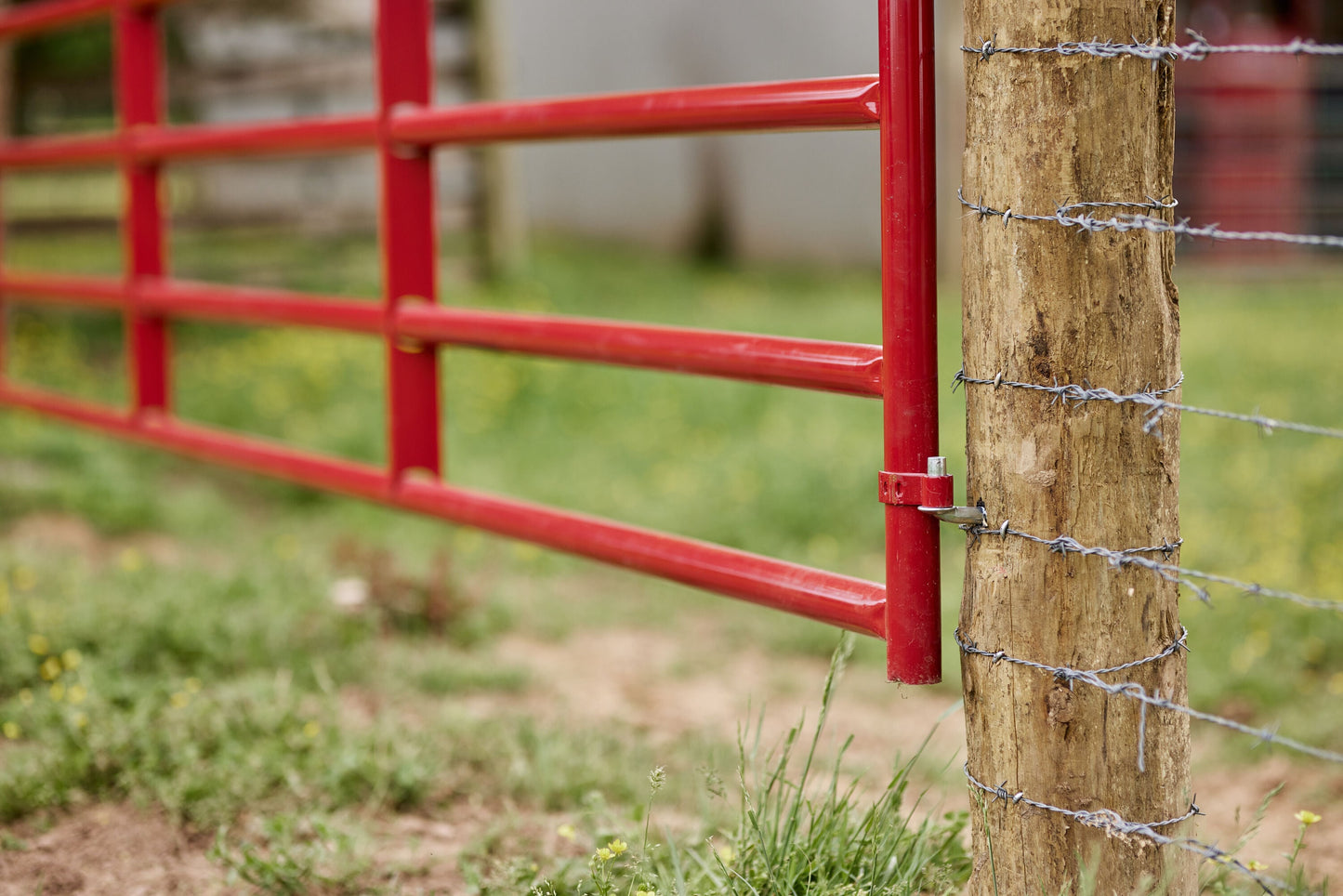 Tarter 4-ft H x 20-ft W Red E-coat Steel Corral Flat-top Farm Fence Gate