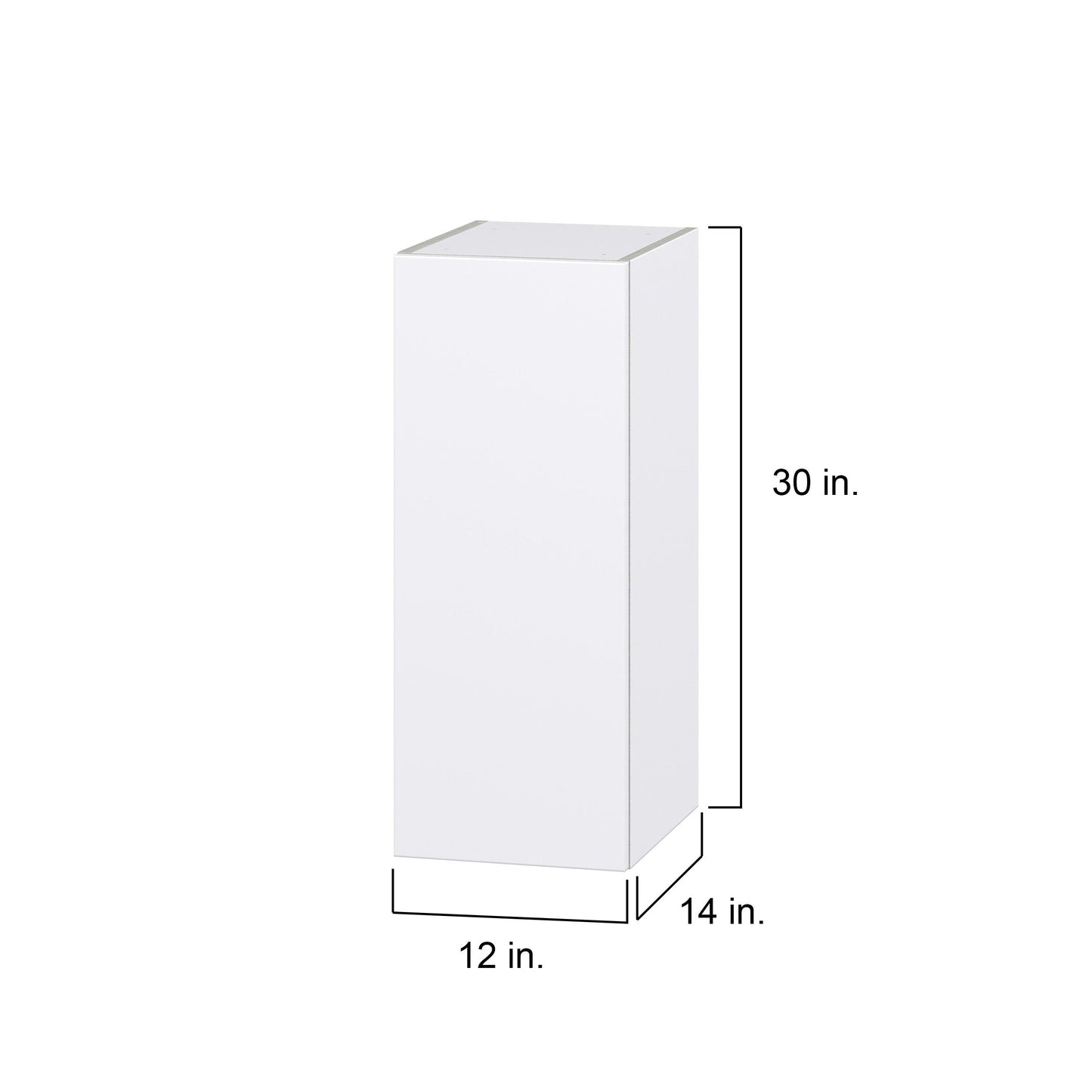 Hugo&Borg Lasalle 12-in W x 30-in H x 14-in D Bright White Slab Wall Fully Assembled Cabinet (Flat Panel Slab Door Style)