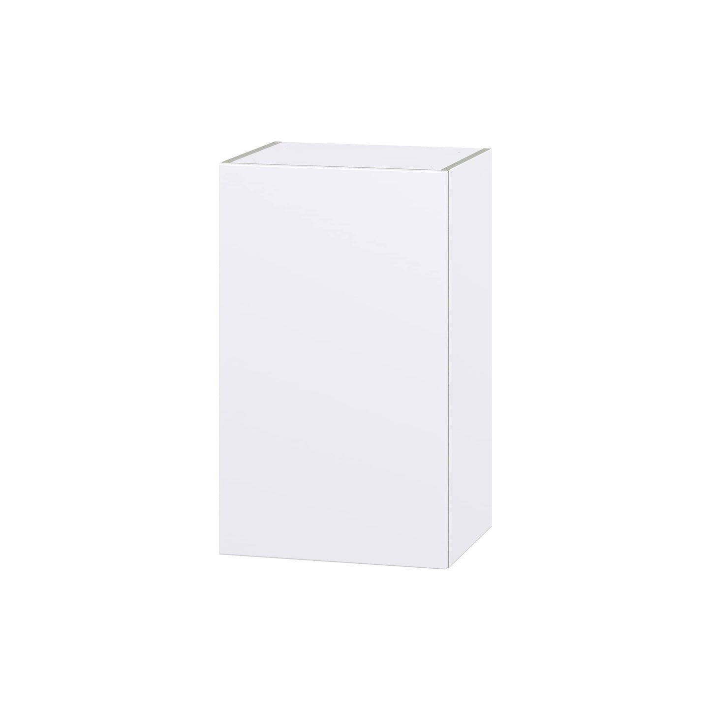 Hugo&Borg Lasalle 18-in W x 30-in H x 14-in D Bright White Slab Wall Fully Assembled Cabinet (Flat Panel Slab Door Style)
