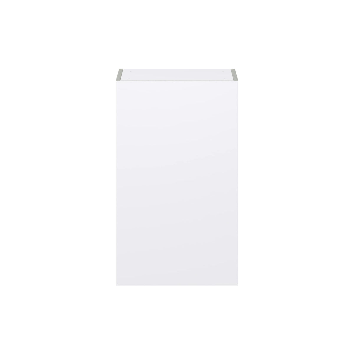 Hugo&Borg Lasalle 18-in W x 30-in H x 14-in D Bright White Slab Wall Fully Assembled Cabinet (Flat Panel Slab Door Style)