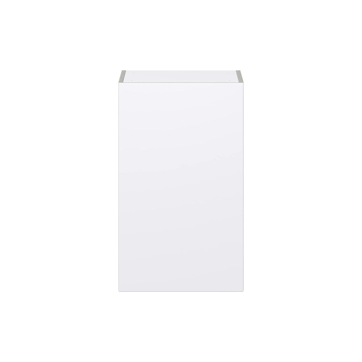 Hugo&Borg Lasalle 18-in W x 30-in H x 14-in D Bright White Slab Wall Fully Assembled Cabinet (Flat Panel Slab Door Style)