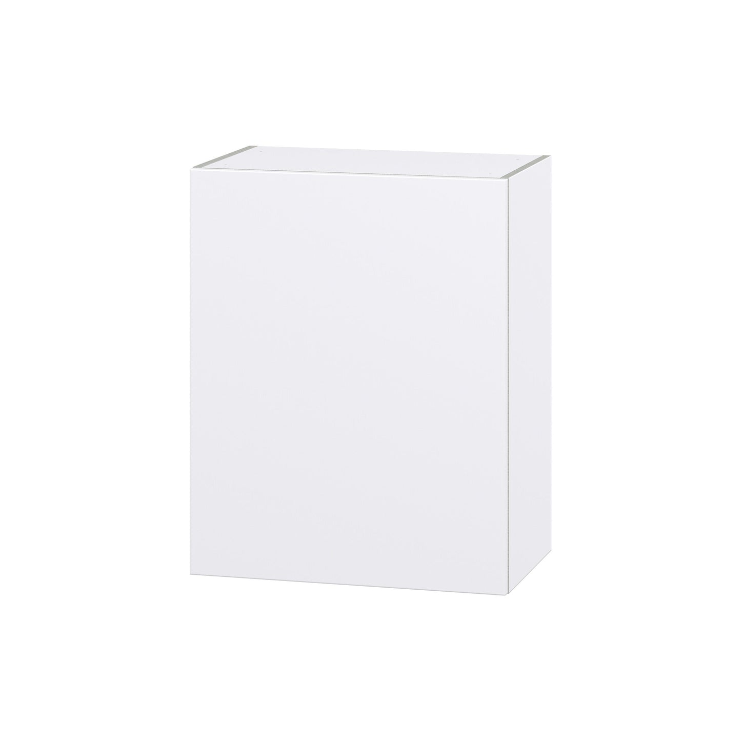 Hugo&Borg Lasalle 24-in W x 30-in H x 14-in D Bright White Slab Wall Fully Assembled Cabinet (Flat Panel Slab Door Style)