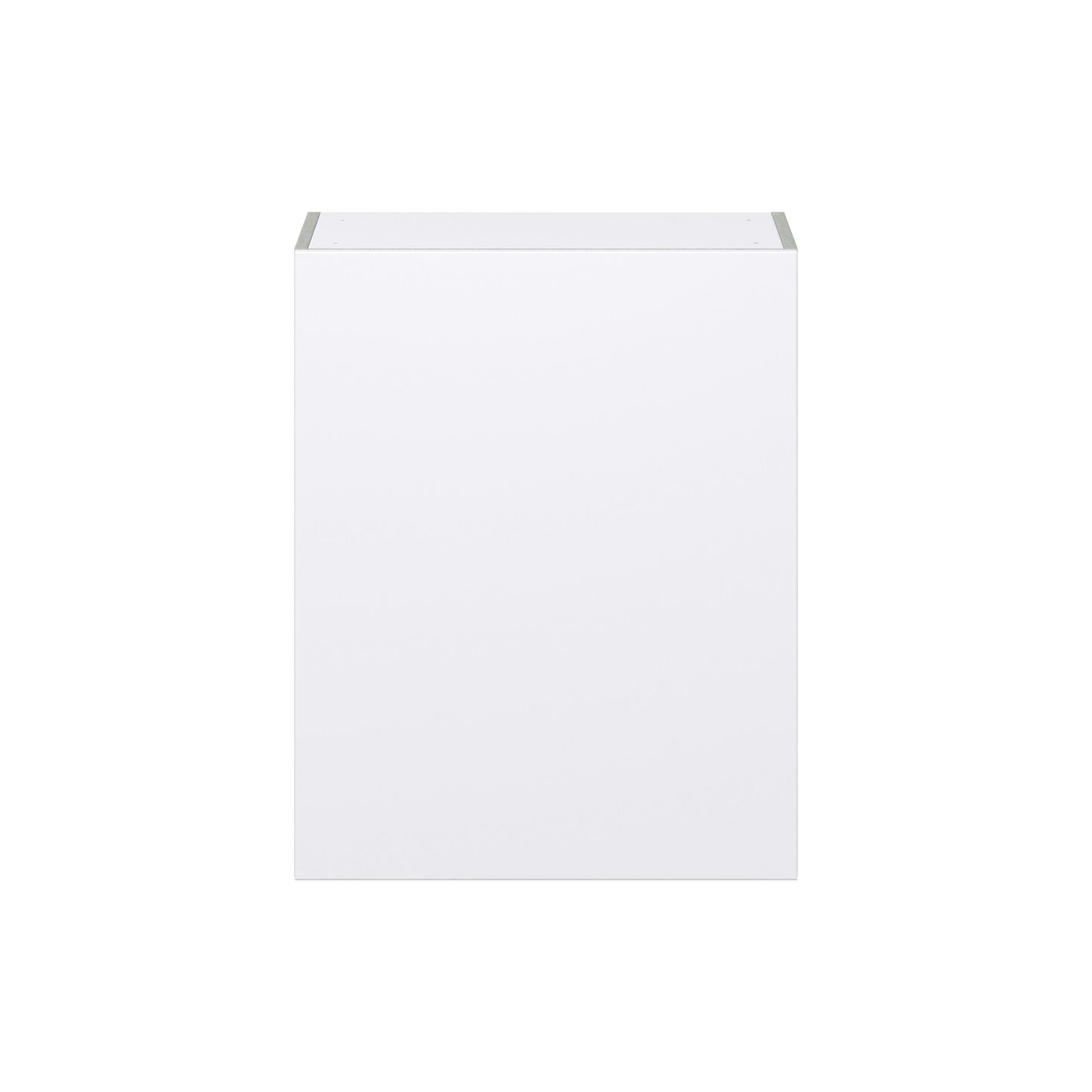 Hugo&Borg Lasalle 24-in W x 30-in H x 14-in D Bright White Slab Wall Fully Assembled Cabinet (Flat Panel Slab Door Style)