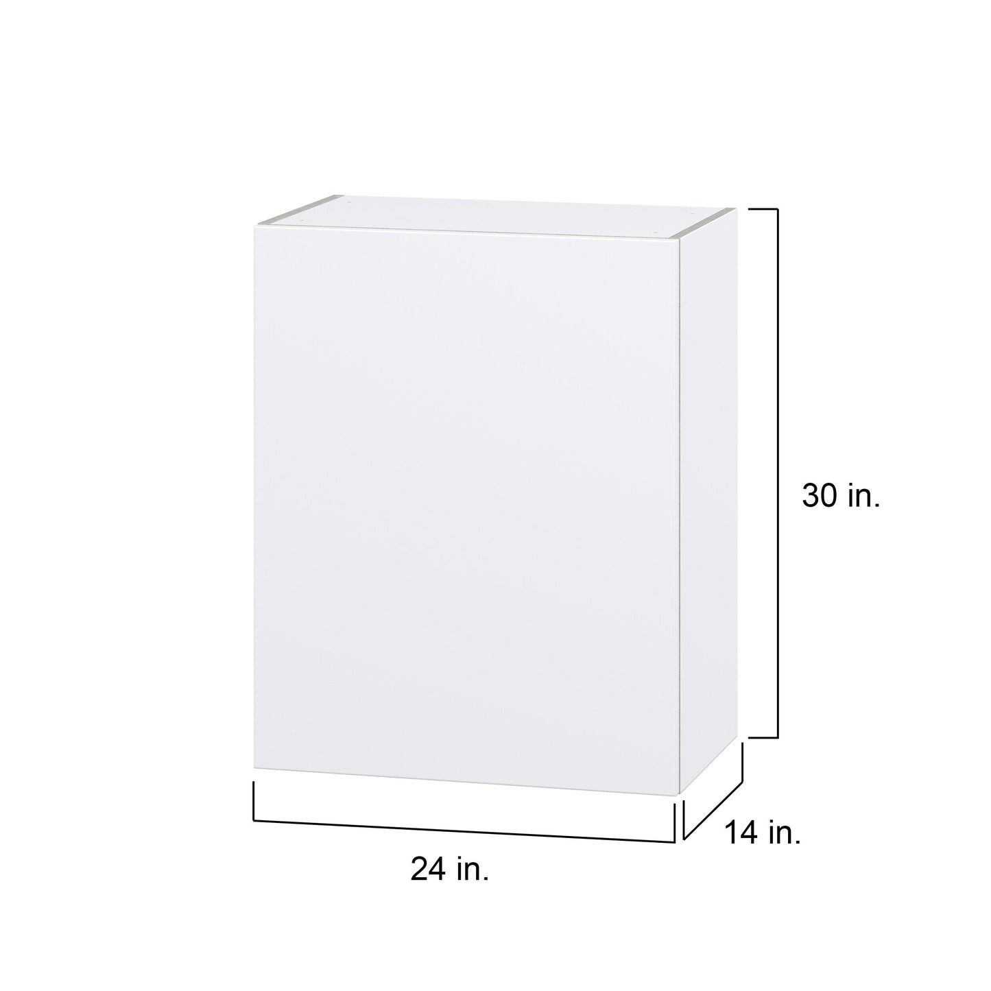 Hugo&Borg Lasalle 24-in W x 30-in H x 14-in D Bright White Slab Wall Fully Assembled Cabinet (Flat Panel Slab Door Style)