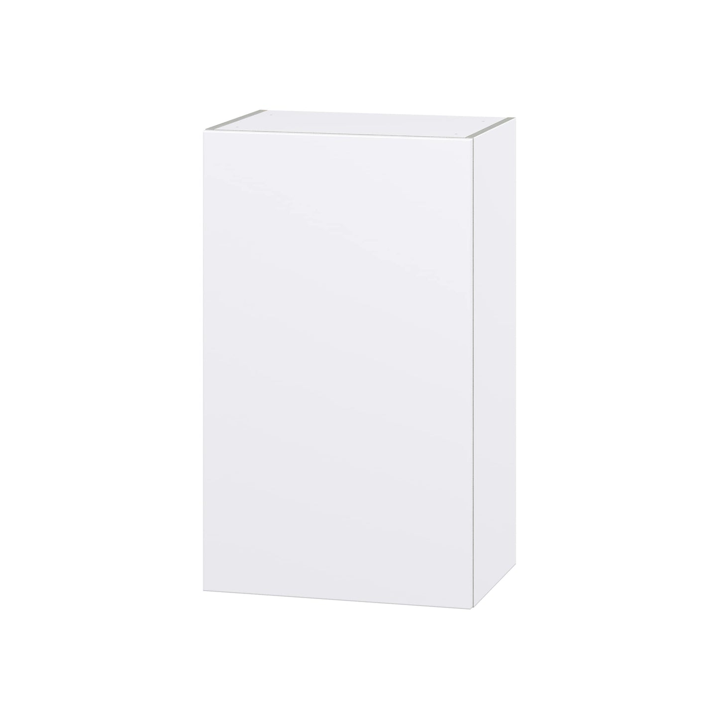 Hugo&Borg Lasalle 21-in W x 35-in H x 14-in D Bright White Slab Wall Fully Assembled Cabinet (Flat Panel Slab Door Style)