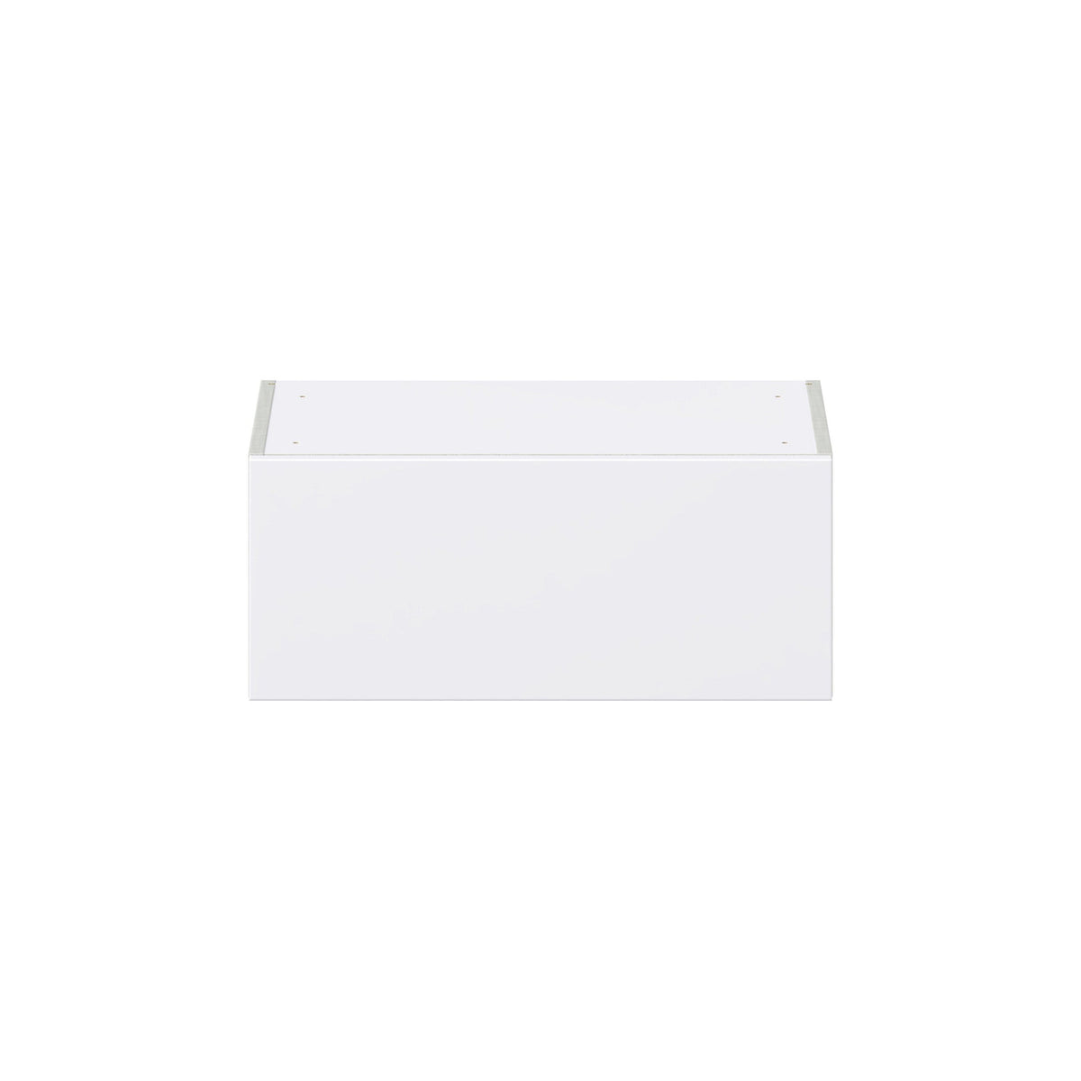 Hugo&Borg Lasalle 24-in W x 10-in H x 14-in D Bright White Slab Wall Fully Assembled Cabinet (Flat Panel Slab Door Style)