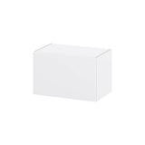 Hugo&Borg Lasalle 24-in W x 15-in H x 14-in D Bright White Slab Wall Fully Assembled Cabinet (Flat Panel Slab Door Style)
