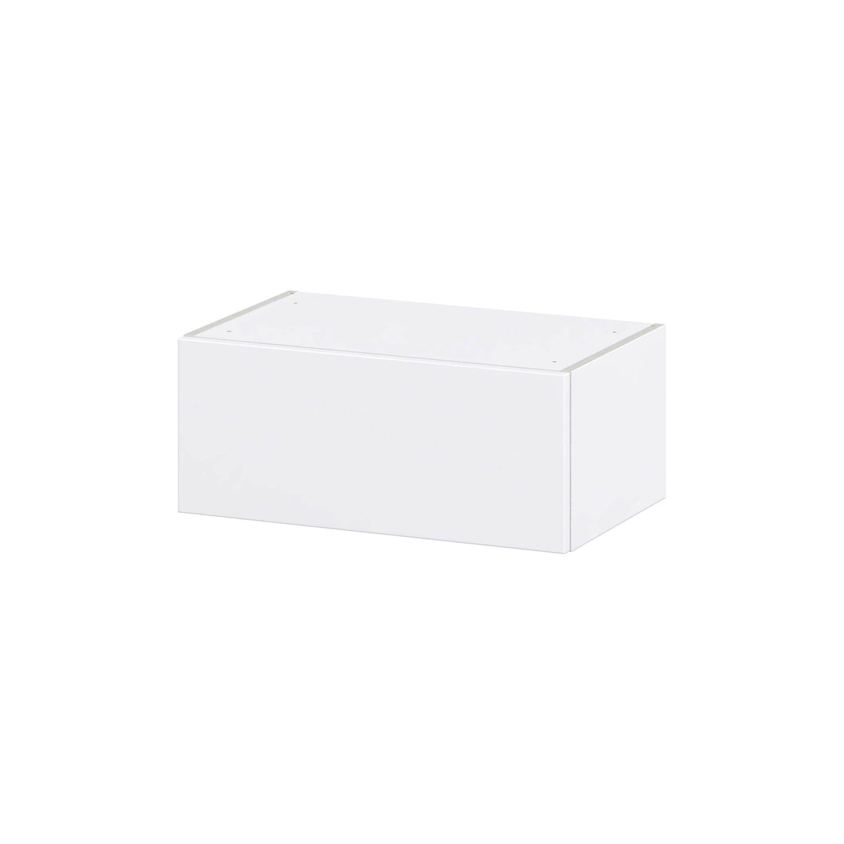 Hugo&Borg Lasalle 24-in W x 10-in H x 14-in D Bright White Slab Wall Fully Assembled Cabinet (Flat Panel Slab Door Style)